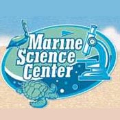 Daytona Beach Area Attractions - marinesciencecenter.jpg